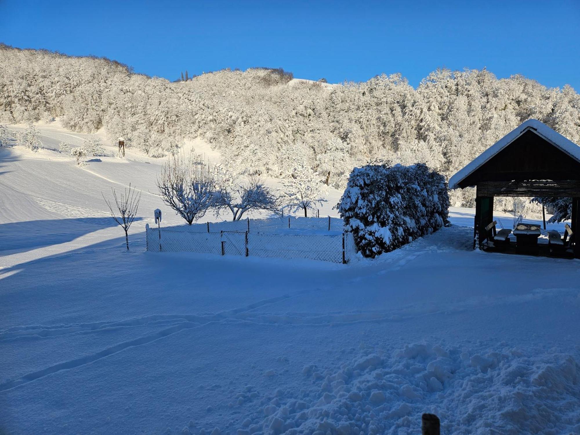 Vila Francek House Podcetrtek Buce Exteriér fotografie